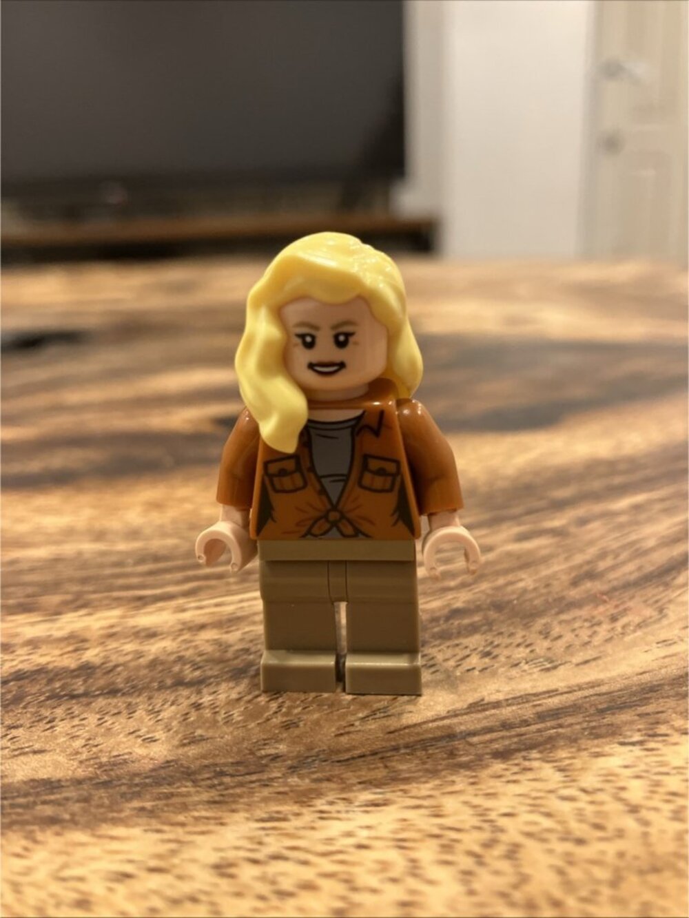 Lego Minifigure ( Authentic )
